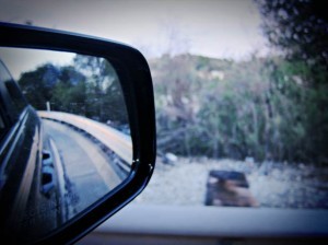 Squinting in the Shade - Beautiful post about trust in marriage