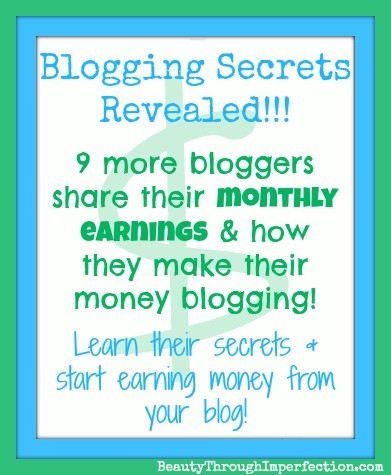How much money can a blogger earn