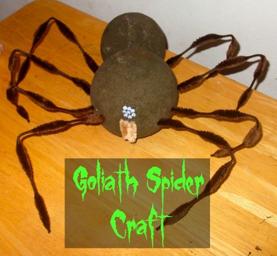 Super fun craft for halloween or for studying spiders!