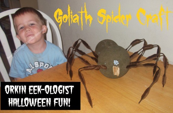 Super fun craft for halloween or for studying spiders! 