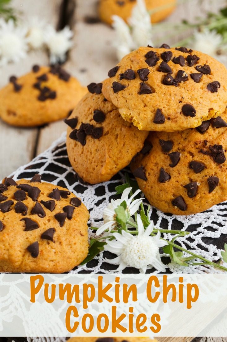 Tasty recipe for pumpkin chocolate chip cookies - perfect for Fall! 