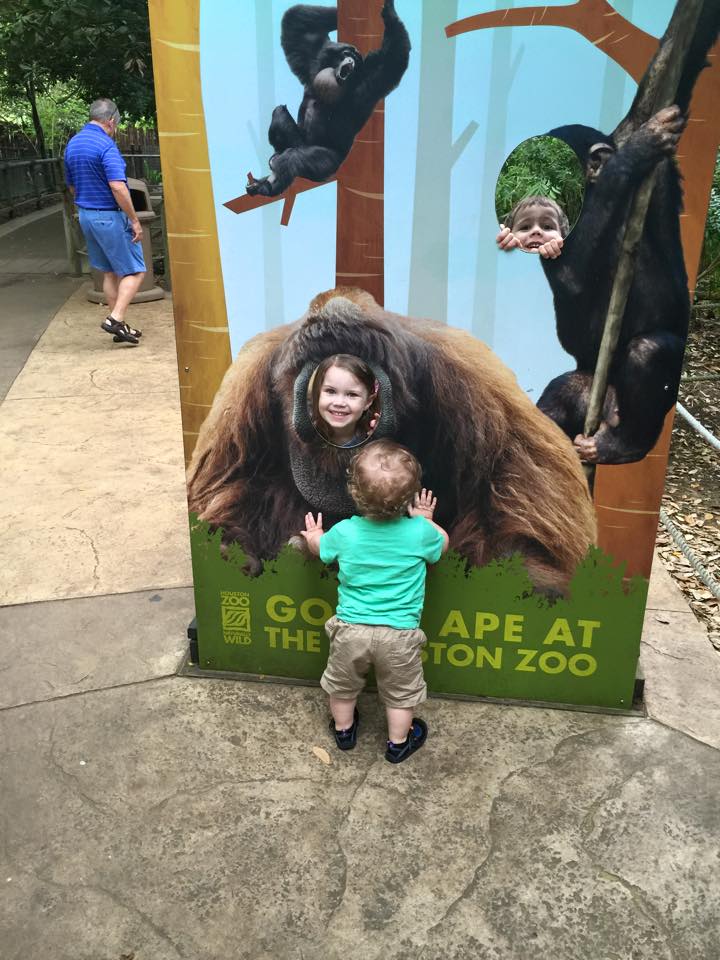 houston zoo