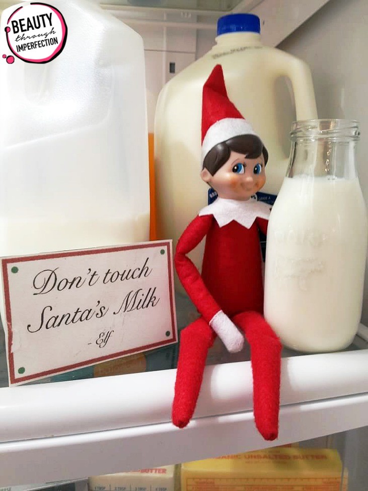elf on the shelf with milk