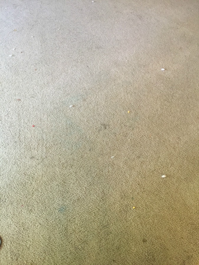 before rug doctor