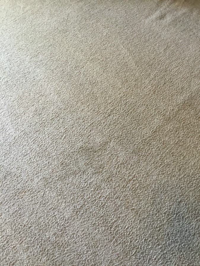 rug doctor clean carpet