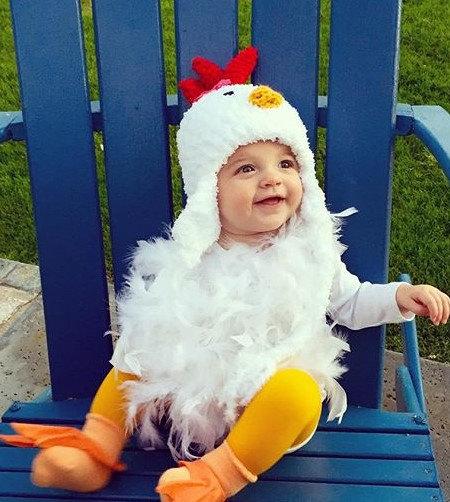baby-chicken
