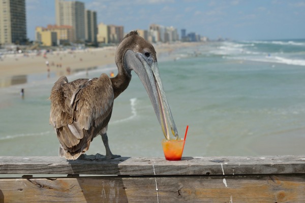 on-the-beach