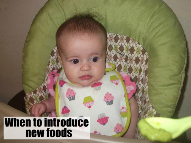 when-to-introduce-new-foods